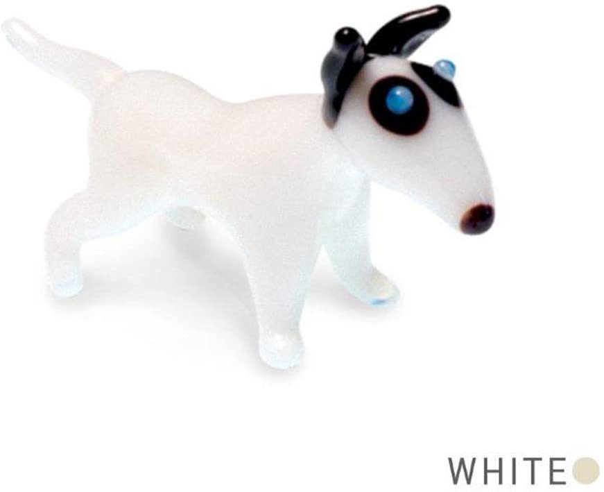 Pow - Bull Terrier Dog